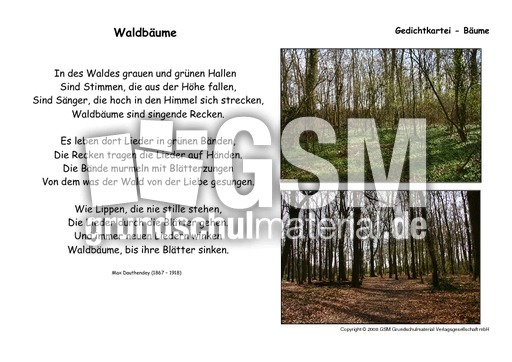 Waldbäume-Dauthendey.pdf